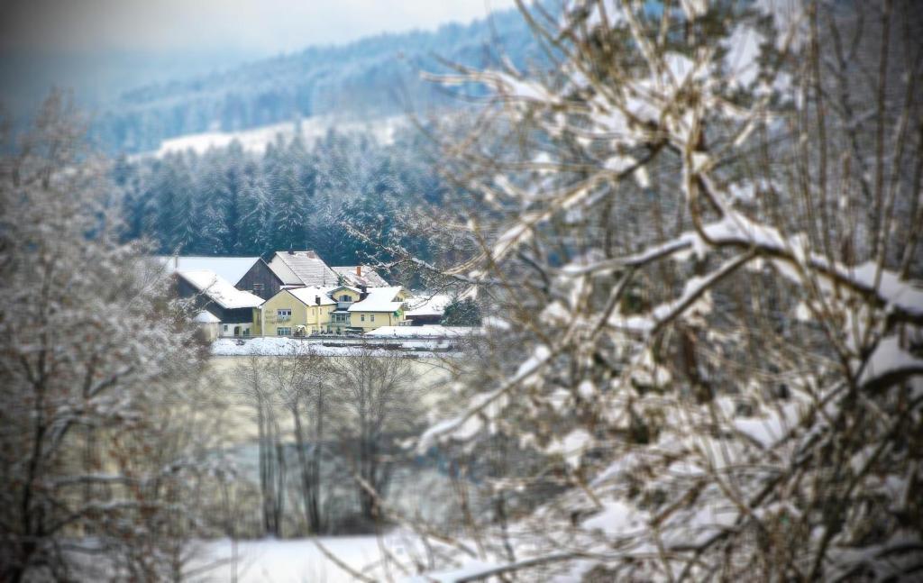 Hotel Der Seehof Hauzenberg Exteriör bild